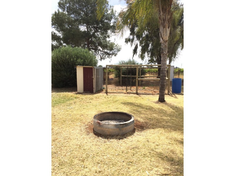 96 Pommy Avenue, Loveday SA 5345