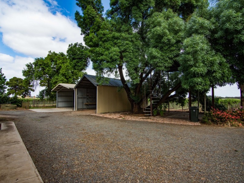 81 Tooravale Road, Berri SA 5343