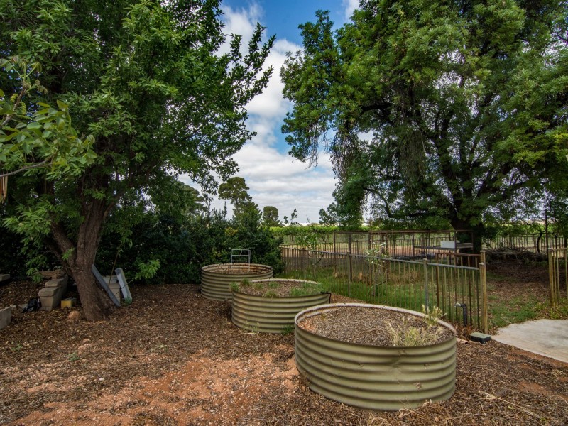 81 Tooravale Road, Berri SA 5343