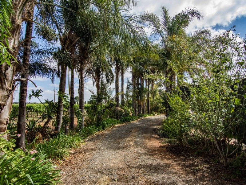 81 Tooravale Road, Berri SA 5343