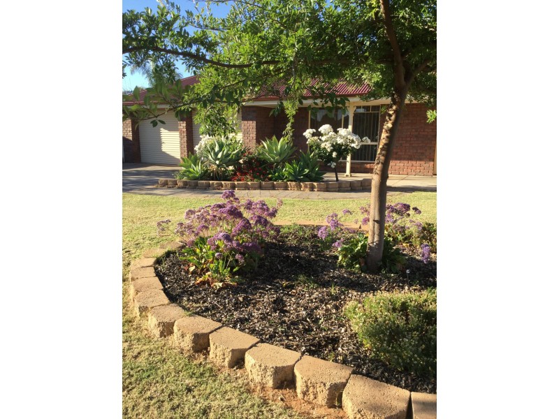 19 Rosenthal Drive, Berri SA 5343