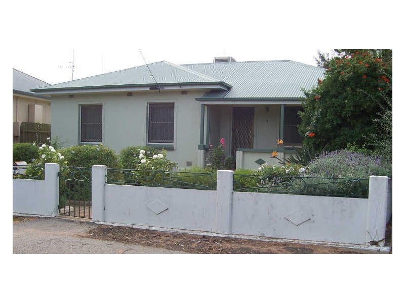 3 Wilkinson Street, Berri SA 5343