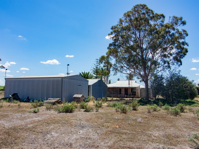 302 Gilmour Road, Barmera SA 5345