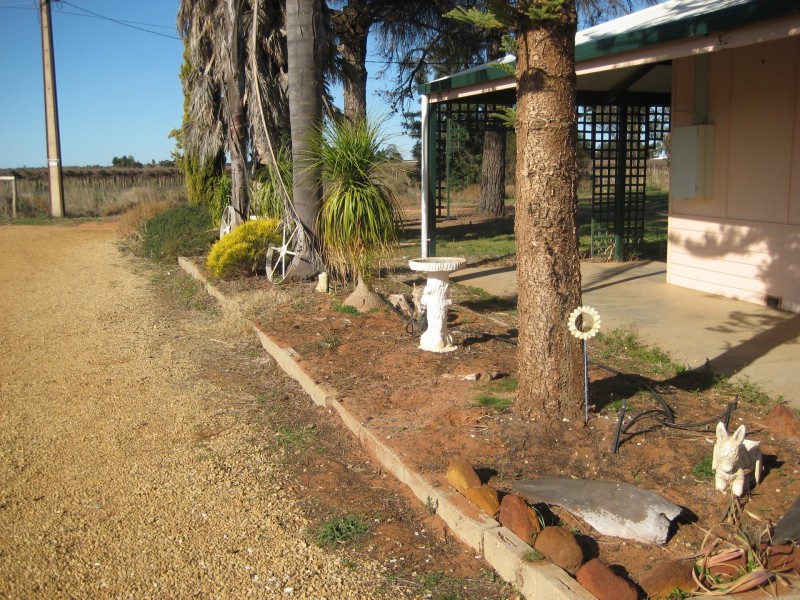 302 Gilmour Road, Barmera SA 5345