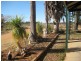 302 Gilmour Road, Barmera SA 5345