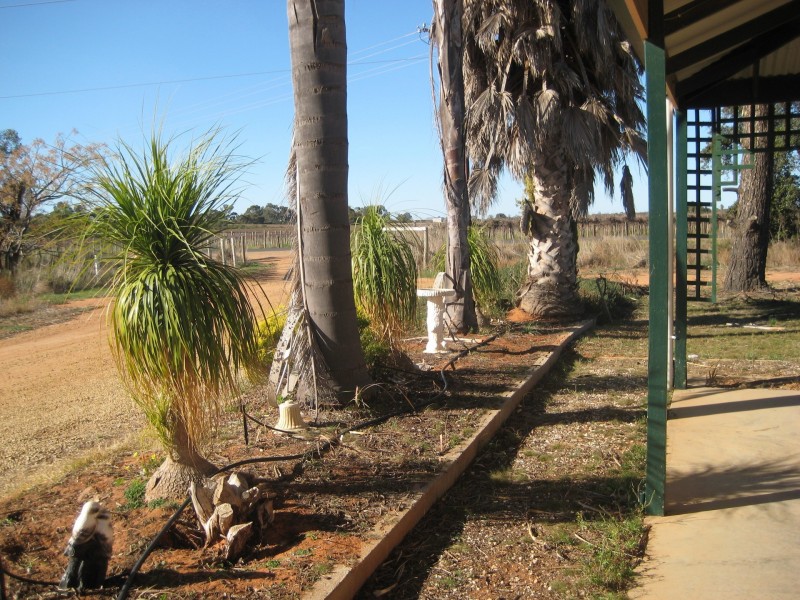 302 Gilmour Road, Barmera SA 5345