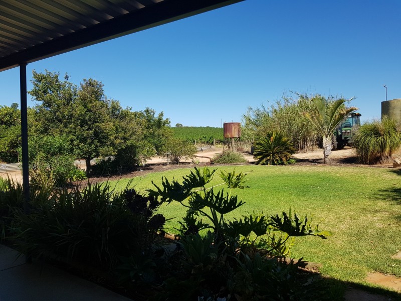 116 Goodes Road, Pyap SA 5333