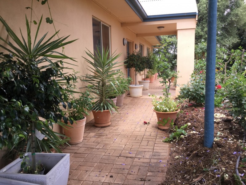 191 Gurney Road, Loxton SA 5333