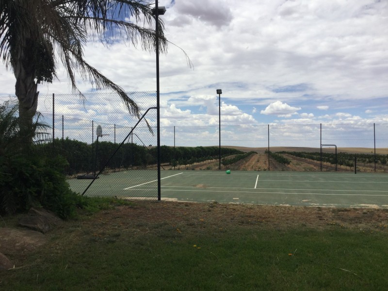 191 Gurney Road, Loxton SA 5333