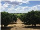 191 Gurney Road, Loxton SA 5333