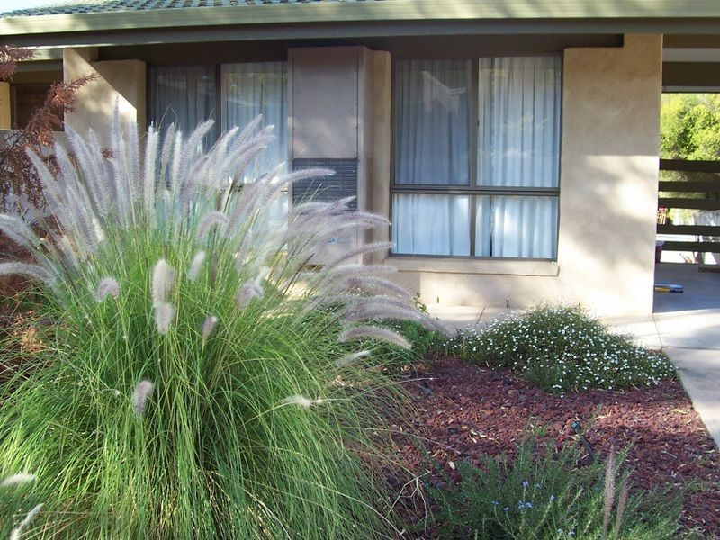 41B Derrick Street, Berri SA 5343