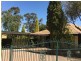 14 Gilbert Street, Berri SA 5343