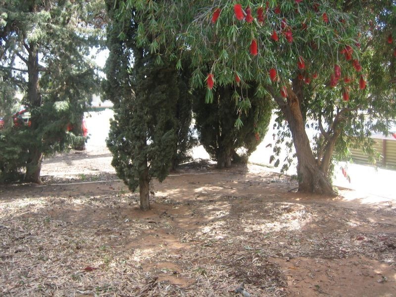 68B Zante Road, Berri SA 5343