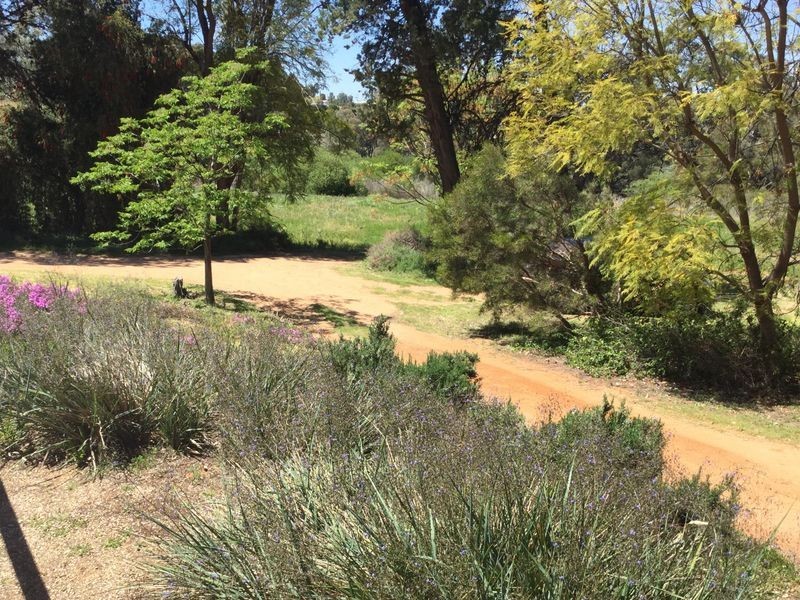 . Ingerson Road, Berri SA 5343