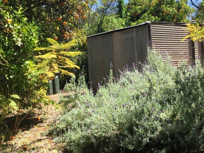 . Ingerson Road, Berri SA 5343