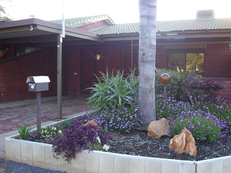 Unit 3/12 Ritchie Street, Barmera SA 5345