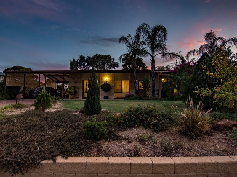 19 Dennis Street, Berri SA 5343