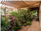 19 Dennis Street, Berri SA 5343