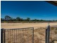 31 Queen Elizabeth Drive, Barmera SA 5345