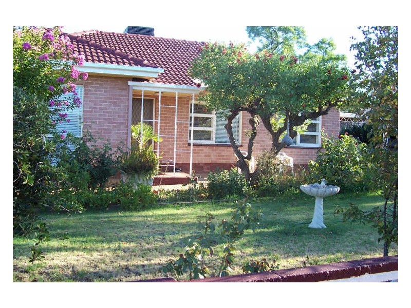 13 Tonkin Avenue, Barmera SA 5345