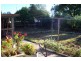 13 Tonkin Avenue, Barmera SA 5345