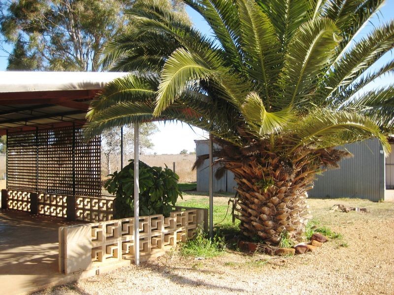 RP302 Gilmour Road, Barmera SA 5345