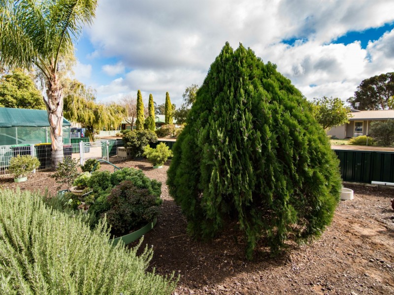 16 Murray Price Drive, Renmark SA 5341