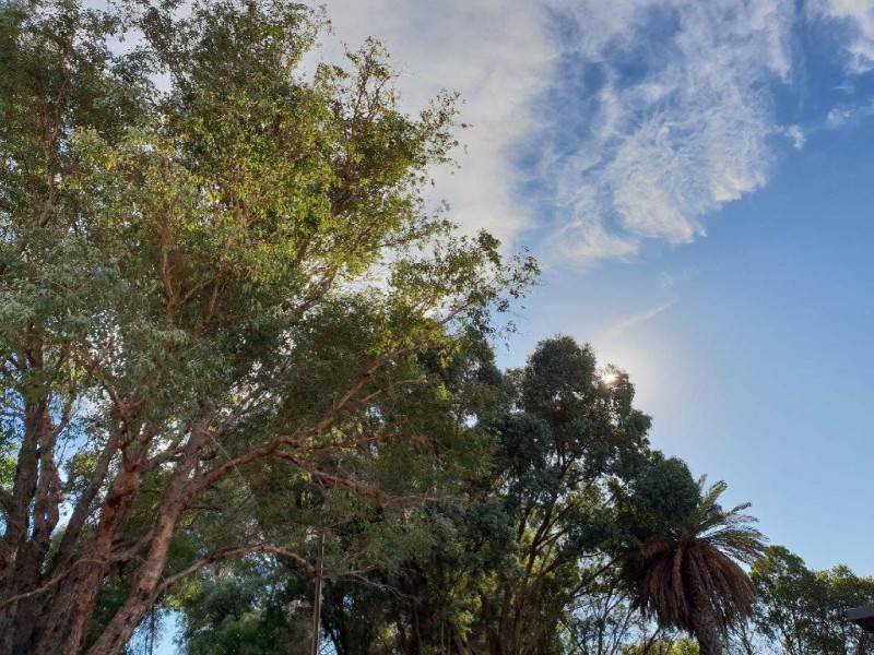 198 Soderberg Road, Monash SA 5342