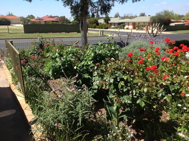 109 Kay Ave, Berri SA 5343