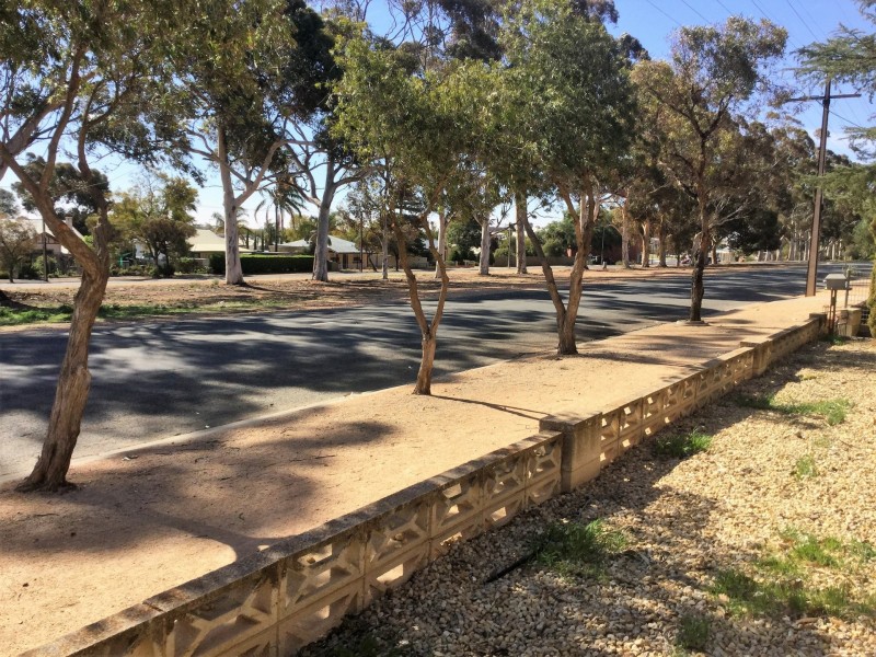 11 Langdon Terrace, Barmera SA 5345