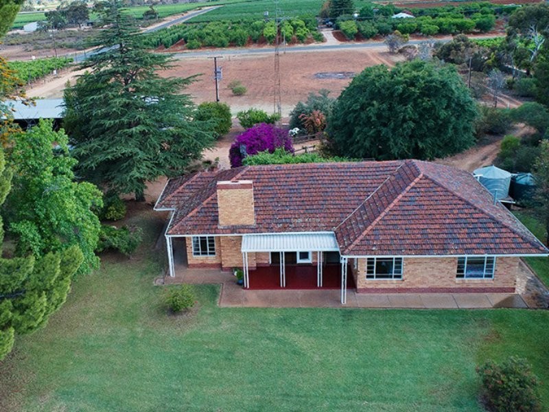64 Gaskell Road, Barmera SA 5345