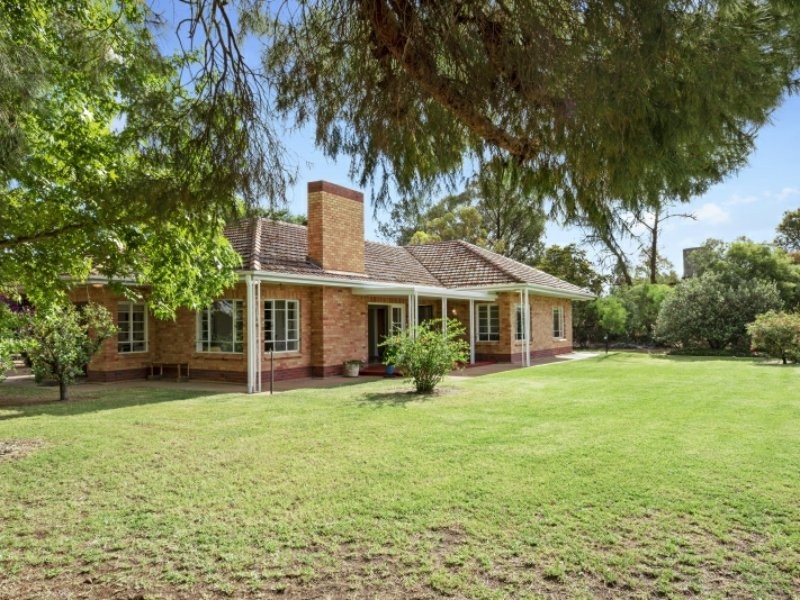 64 Gaskell Road, Barmera SA 5345