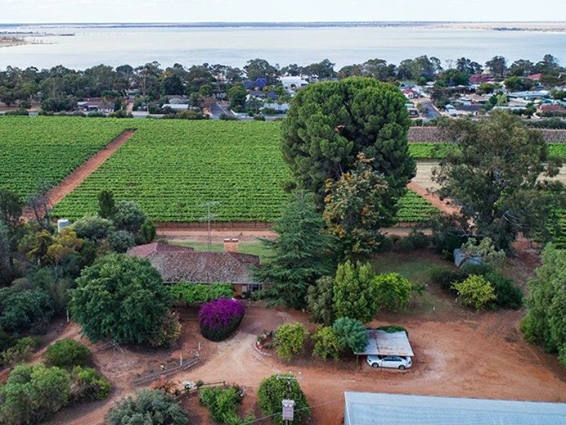 64 Gaskell Road, Barmera SA 5345