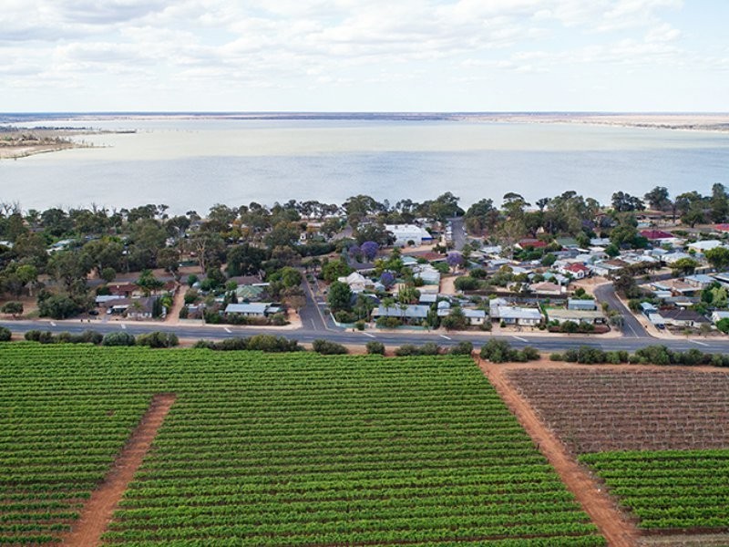 64 Gaskell Road, Barmera SA 5345