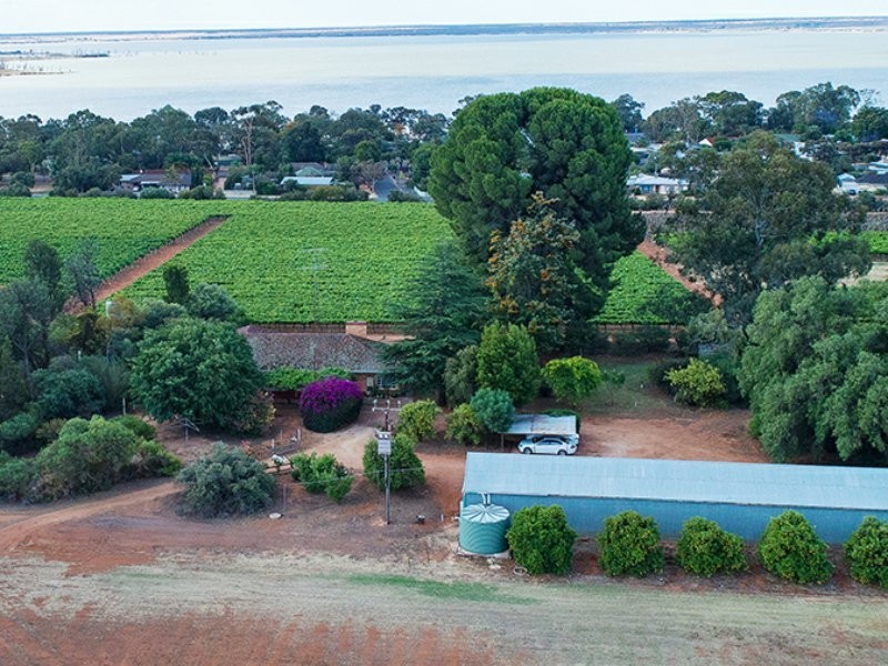 64 Gaskell Road, Barmera SA 5345