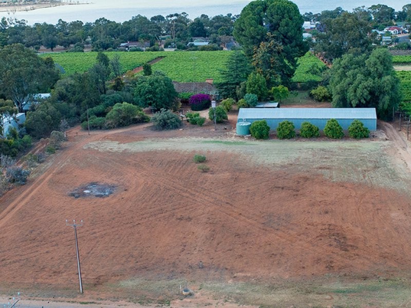 64 Gaskell Road, Barmera SA 5345