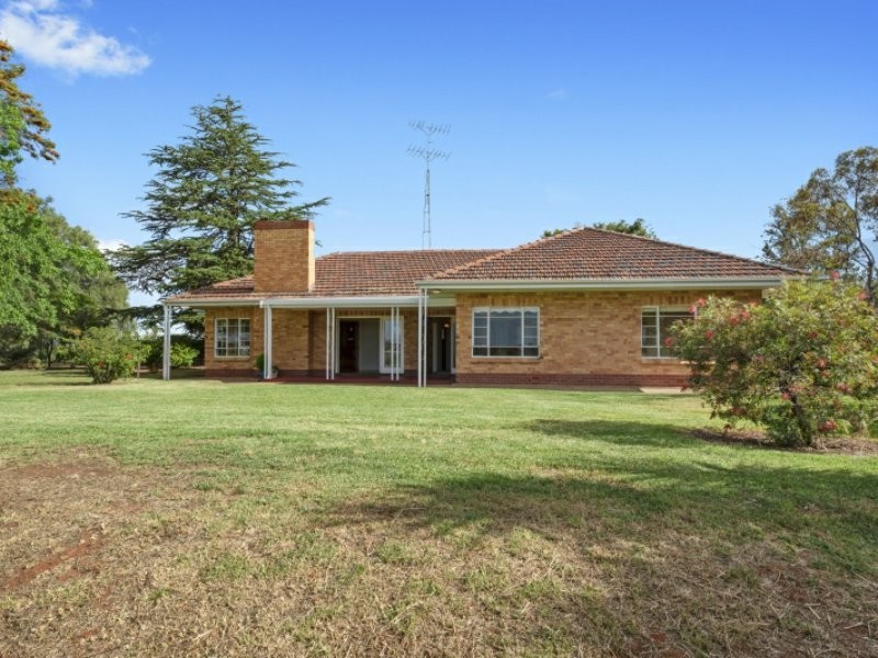 64 Gaskell Road, Barmera SA 5345