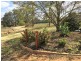 53 Murtho Road, Paringa SA 5340
