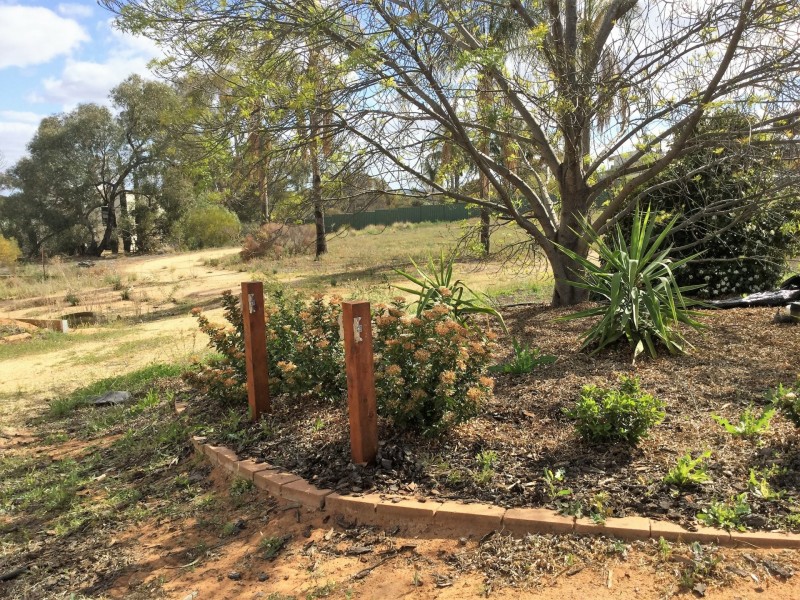 53 Murtho Road, Paringa SA 5340
