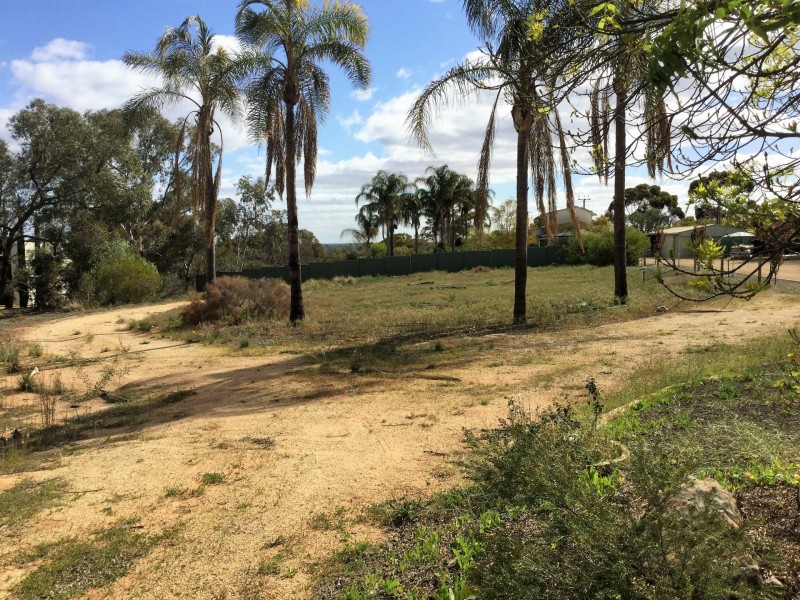 53 Murtho Road, Paringa SA 5340