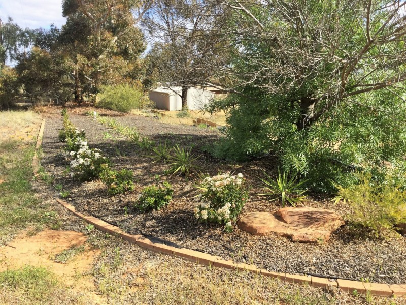 53 Murtho Road, Paringa SA 5340