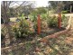 53 Murtho Road, Paringa SA 5340