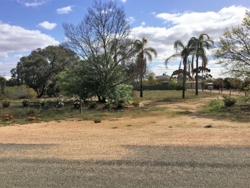 53 Murtho Road, Paringa SA 5340