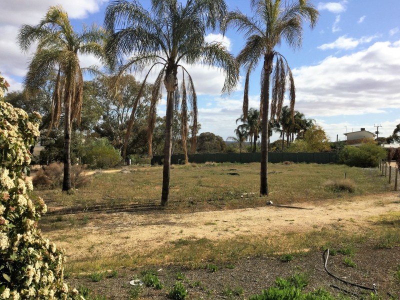 53 Murtho Road, Paringa SA 5340