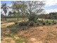 53 Murtho Road, Paringa SA 5340