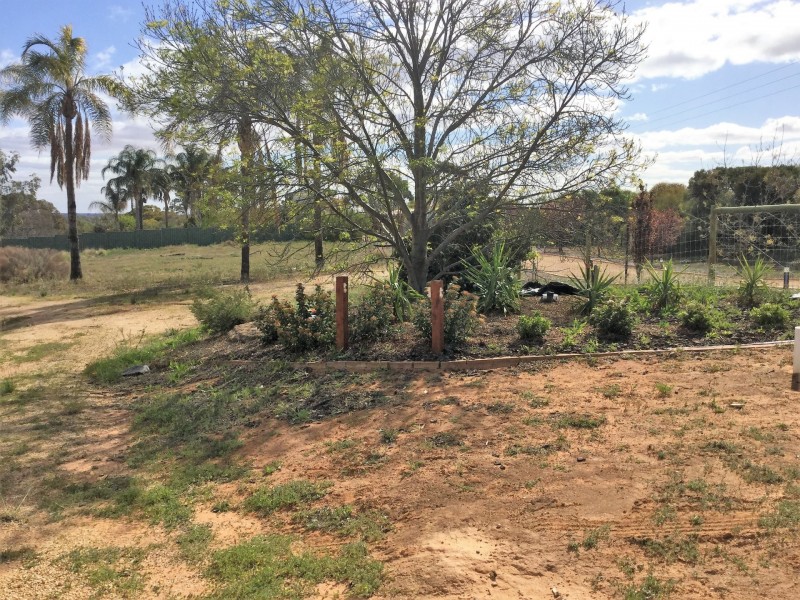 53 Murtho Road, Paringa SA 5340