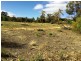 53 Murtho Road, Paringa SA 5340