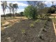 53 Murtho Road, Paringa SA 5340
