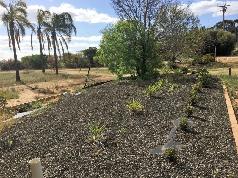 53 Murtho Road, Paringa SA 5340