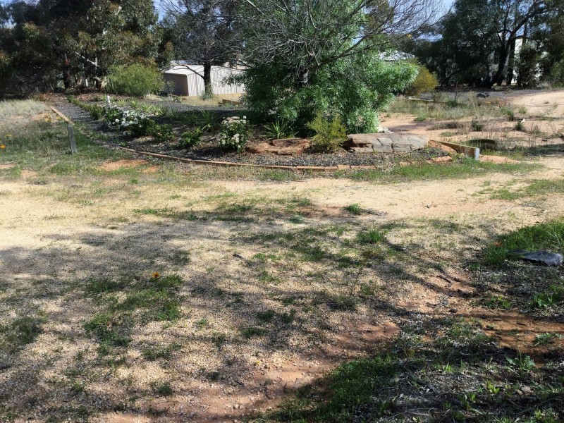 53 Murtho Road, Paringa SA 5340